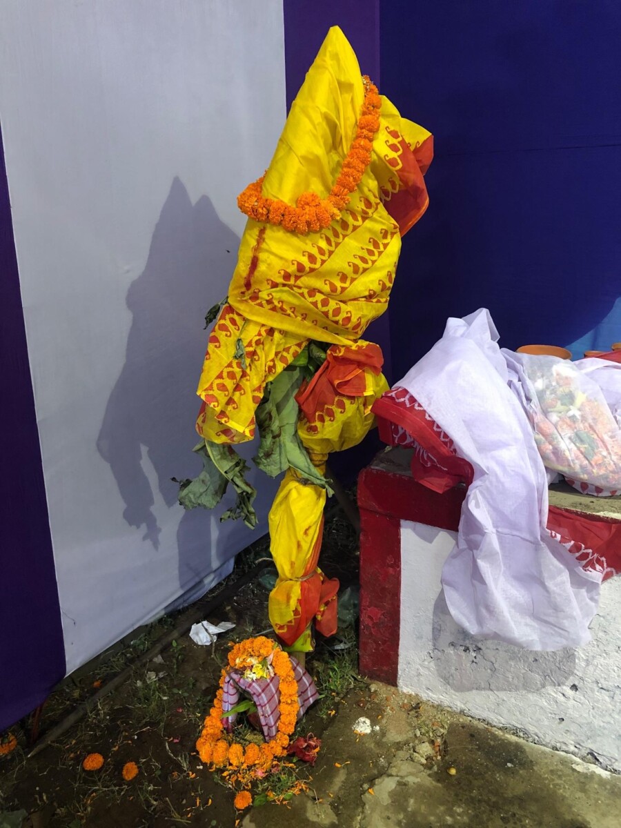 A banana plant wrapped in a yellow sari with red border and marigold garland stands by a small altar with flowers and offerings—Kola Bou, the Nabapatrika of Durga Puja, set against purple-white drapes.