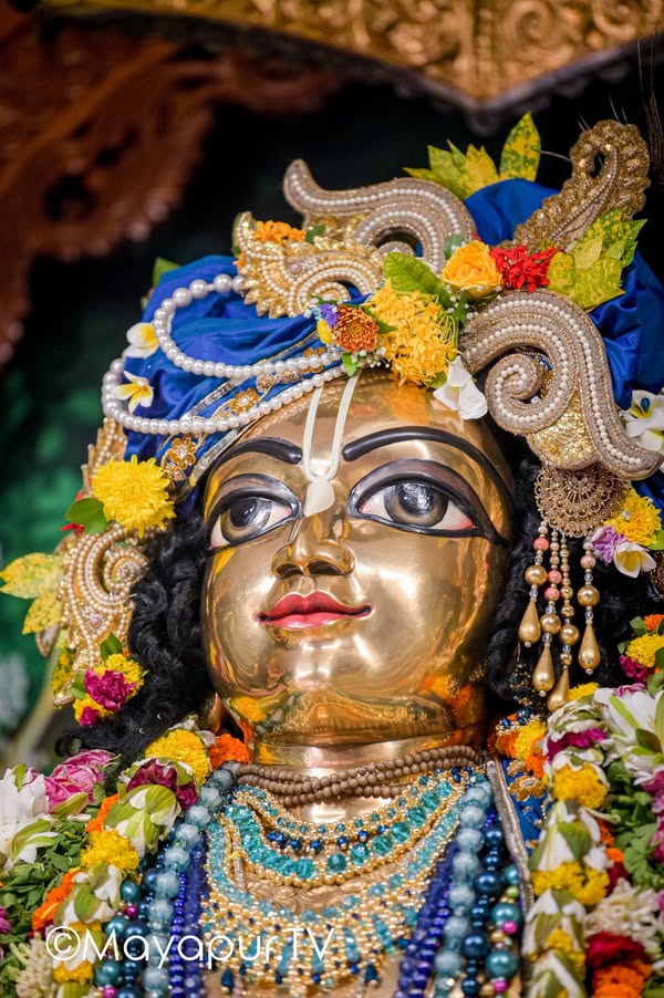 Discover the Essence of Kartik Deep Daan in Mayapur: A Complete Guide to #DamodarMonth