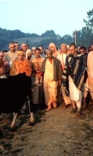 Sacred Footsteps in New Vrindaban: Srila Prabhupada’s Timeless Guidance on Simple Living