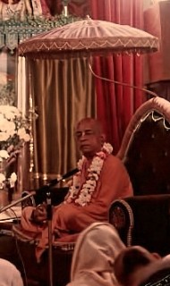 Timeless Analogies that Illuminate Dharma: Powerful Insights from the Bhagavatam and Gita