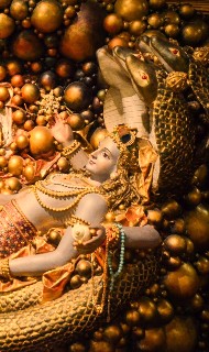 Beyond Blind Chance: A Dharmic Inquiry into Evolution, Consciousness, and Life’s Purpose