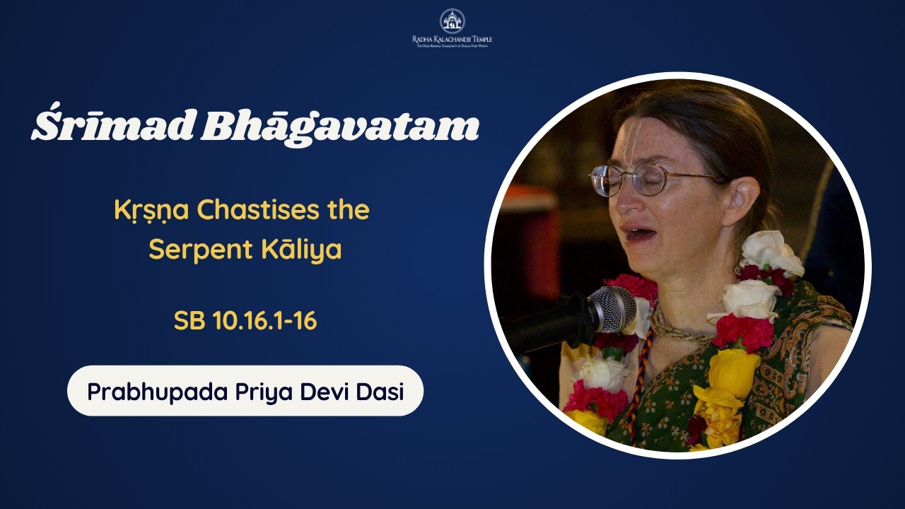 Balarāma’s Poised Silence: Unpacking Śrīmad-Bhāgavatam 10.16 and Kṛṣṇa’s Saving Power