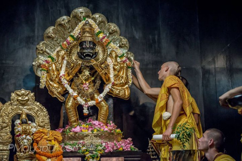 Mercy Beyond Boundaries: How Lord Narasimha’s Mayapur Grace Answers Prayers Through Nama