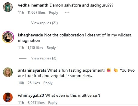 Screenshot of four Instagram comments reacting to a video of Damon Salvatore with Sadhguru; fans call it an unexpected collab, mention a fruit-tasting experiment, and ask what even is this multiverse.