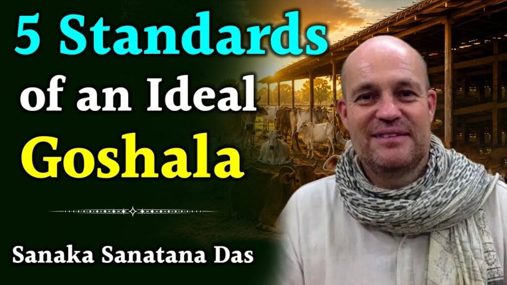 Video thumbnail with the words '5 Standards of an Ideal Goshala'; a presenter wearing a scarf stands by a cowshed at sunset with several cows. Highlights welfare standards, audits, and testing.