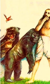 Vintage illustration of a bearded human in a white wrap on grass beside a large primate and a roaring big cat, with a small red bird above—art for Articles on the human form of life.