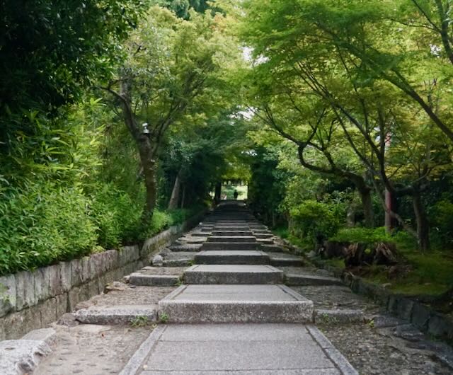 Tree-lined stone steps on a quiet Kyoto forest pathway, evoking the guru yoga journey, dharma tradition, Awakening, and finding a spiritual mentor.