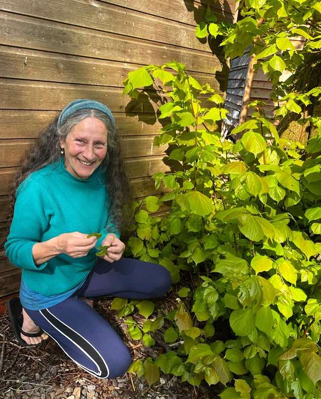 Smiling woman kneels beside bright green plants by a wooden wall, evoking botanical life, nature meditation, European Starflower, and the Star Tarot.