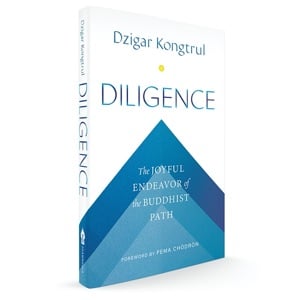 Book cover for Diligence by Dzigar Kongtrul, a white volume with blue geometric mountain shapes, featured in a Buddhist path excerpt.
