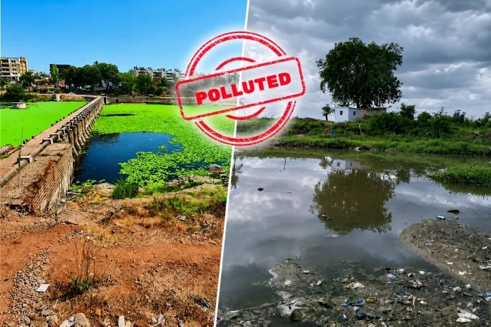 Split image of polluted water bodies, one covered in green algae and another filled with murky water and trash, stamped Polluted in red.