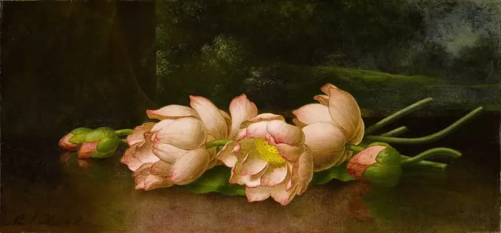 Pink lotus flowers and buds resting on a dark surface in a classical still life, evoking Dharma & Religion themes in Bharat discourse.