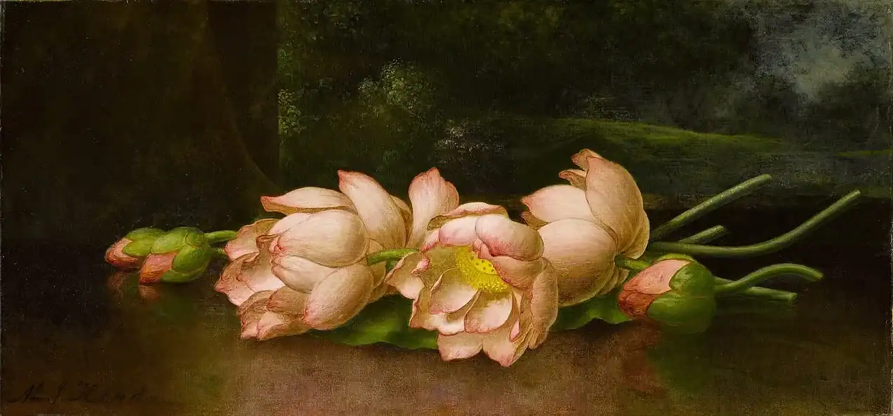 Pink lotus flowers and buds resting on a dark surface in a classical still life, evoking Dharma & Religion themes in Bharat discourse.