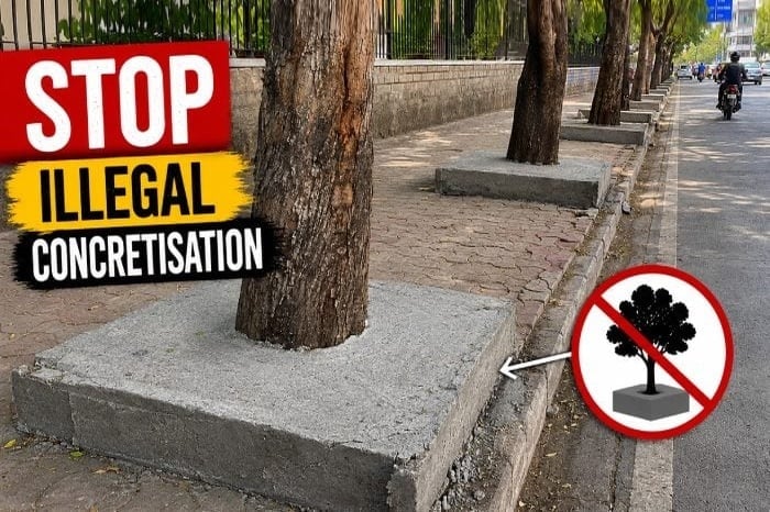 Roadside trees surrounded by concrete platforms beside a sign reading “Stop Illegal Concretisation” and a crossed-out tree symbol.