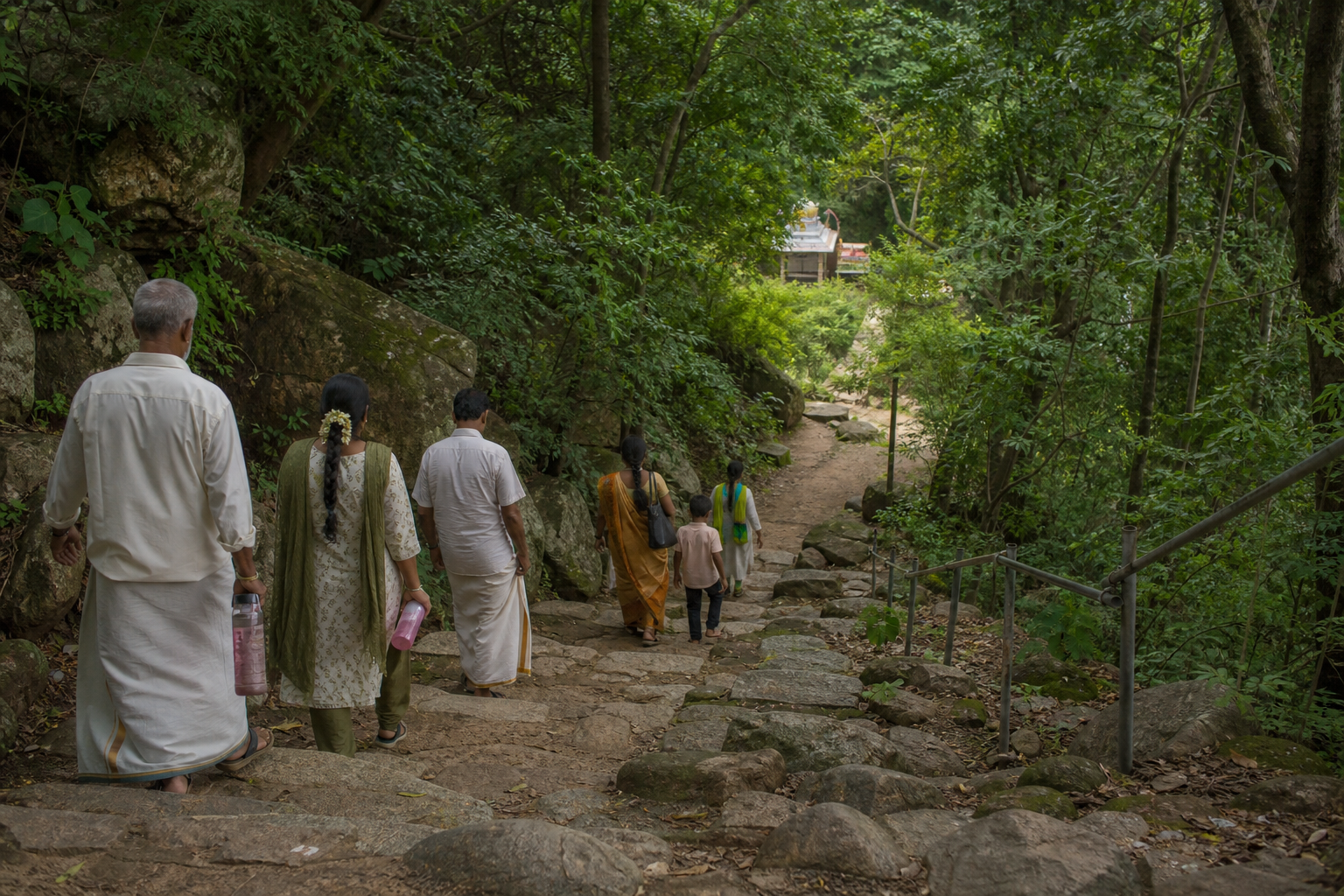 Pilgrims climb a shaded stone path through dense forest toward the Japali Hanuman shrine at Tirumala.