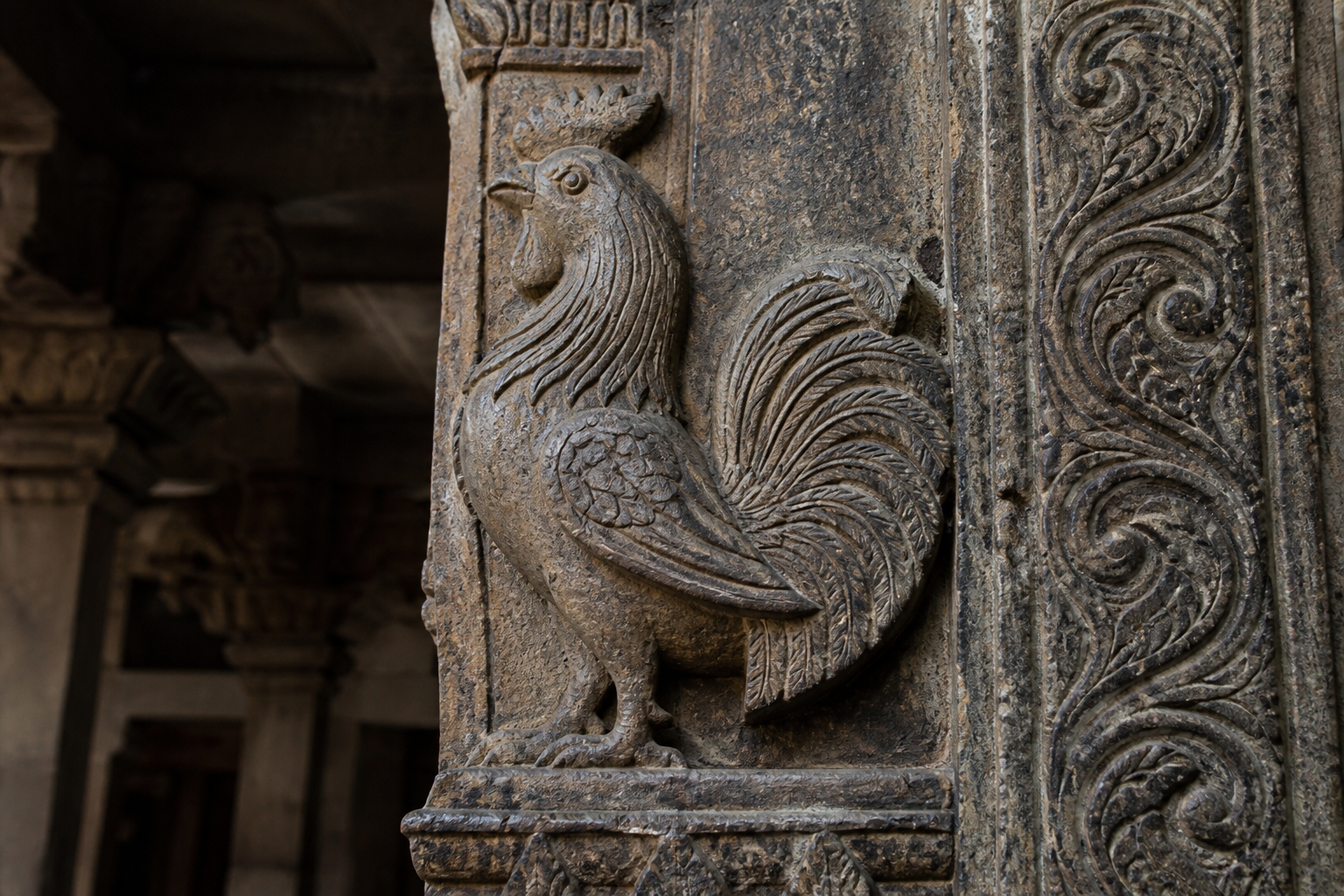 Close view of an upright rooster carving with raised head and sweeping tail on a weathered temple pillar.