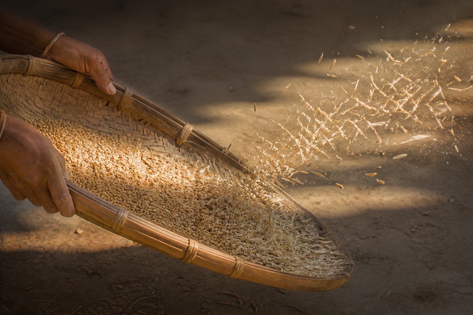 Surpanakha watches grain and chaff rise from a winnowing tray and spiral together in the wind near a forest hermitage.